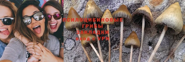 дурь Навашино