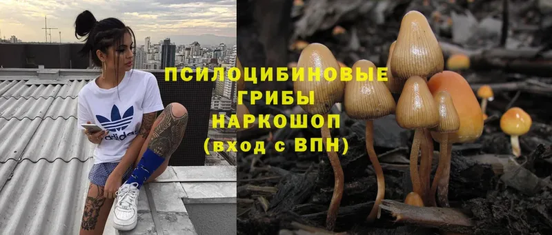 Галлюциногенные грибы ЛСД  Москва 