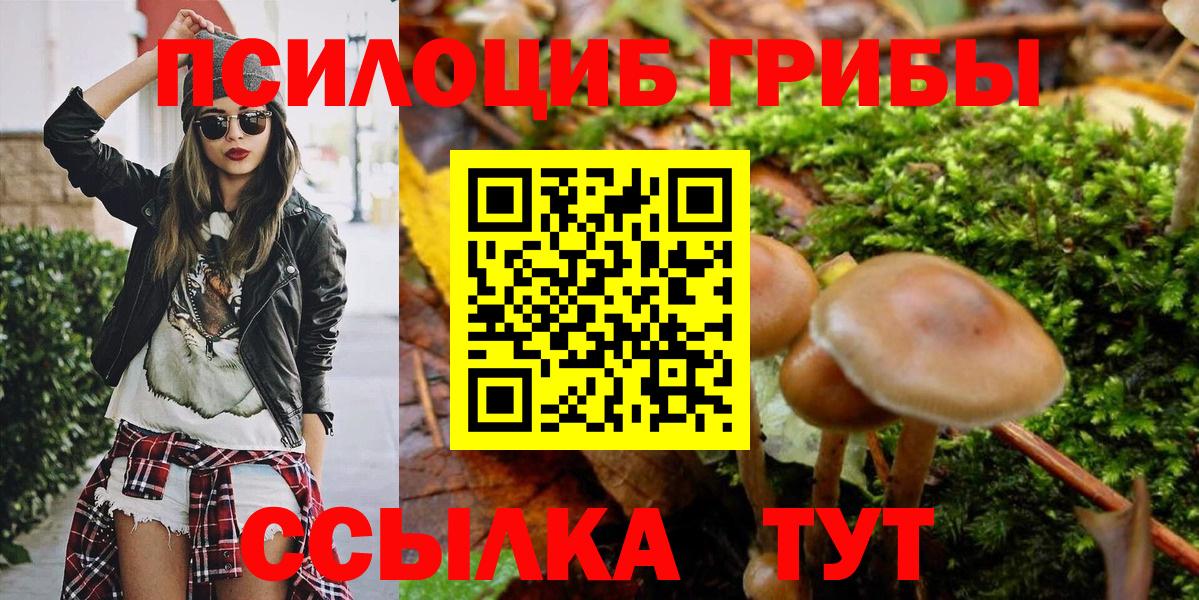 хочу   Москва  Галлюциногенные грибы GOLDEN TEACHER 