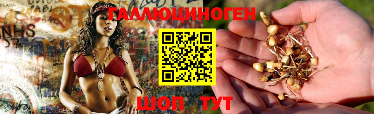 Псилоцибиновые грибы Magic Shrooms Москва